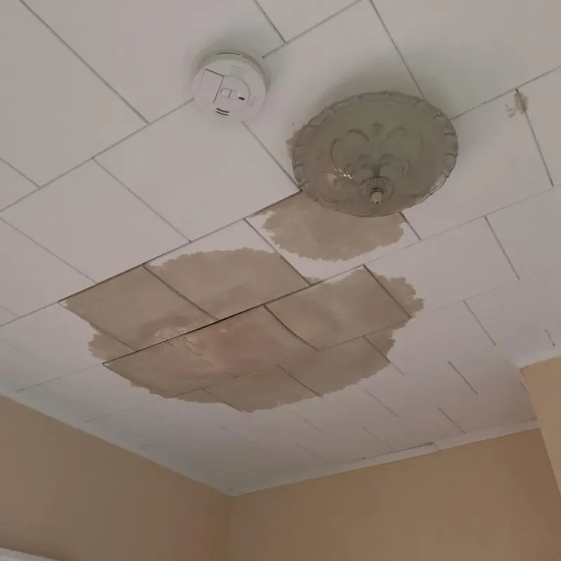 Ceiling Water Damage Repair in Syracuse, UT