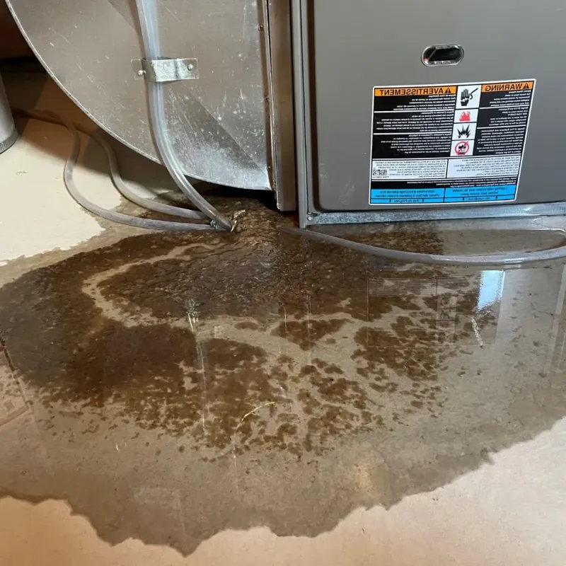 Pipe Burst and Leak Restoration in Syracuse, UT